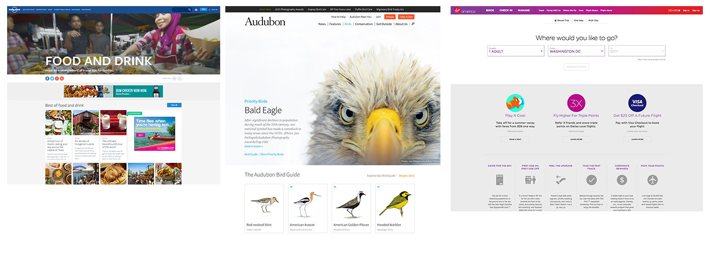 Examples: Lonely Planet, Audubon Society and Virgin America